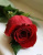 Aamiri789