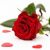 Arril