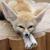 Fenneka