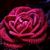 FlowerBritt24