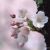 Gladmamma21