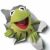 Kermit the frog