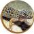 Leogecko
