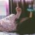 LittleMissX