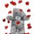 loveislife