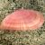 Musselina