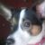 nickolina016