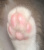 Pinkbeans