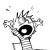 Ripley79