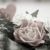 Rosegirl