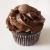the cupcake