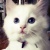 Webbutvecklare Oliver