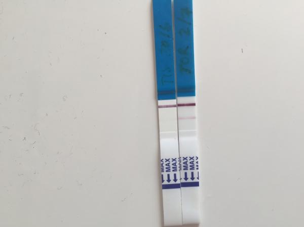 phpNqO1nK96404.jpg