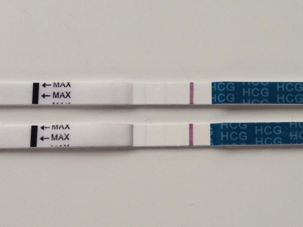 phpC4Y0Ck56558.jpg
