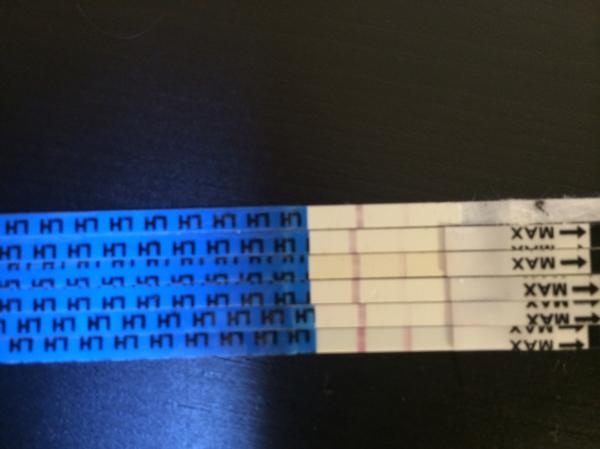 phpmxLSK689212.jpg