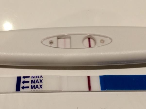 php1p0bgI25144.jpg