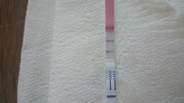 phpsJQi0f74310.jpg